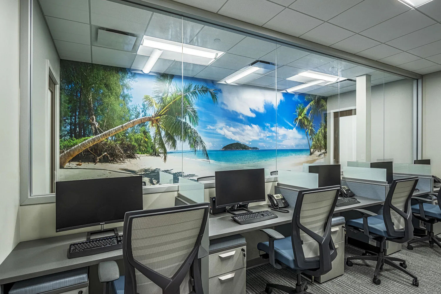 Workstations with beach mural wall wrap and glass partitions in commercial buildout.